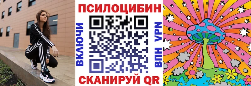 это какой сайт Солнечногорск Псилоцибиновые грибы Magic Shrooms